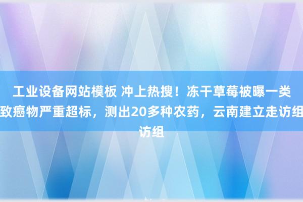 工业设备网站模板 冲上热搜！冻干草莓被曝一类致癌物严重超标，测出20多种农药，云南建立走访组
