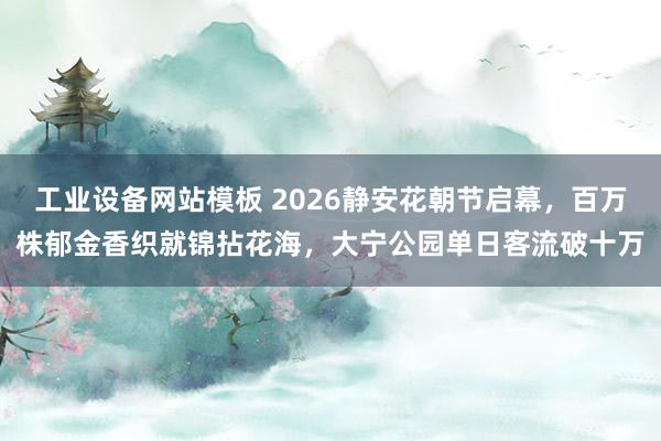工业设备网站模板 2026静安花朝节启幕，百万株郁金香织就锦拈花海，大宁公园单日客流破十万