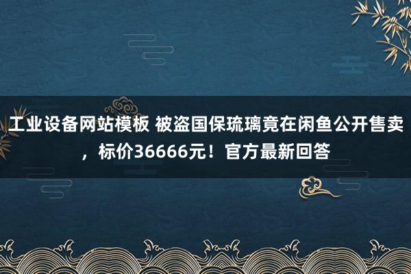 工业设备网站模板 被盗国保琉璃竟在闲鱼公开售卖，标价36666元！官方最新回答
