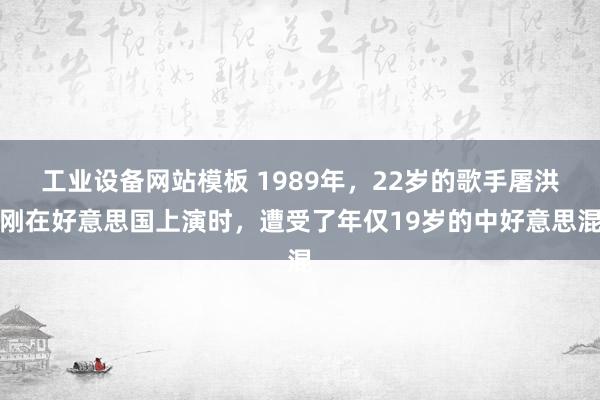 工业设备网站模板 1989年，22岁的歌手屠洪刚在好意思国上演时，遭受了年仅19岁的中好意思混