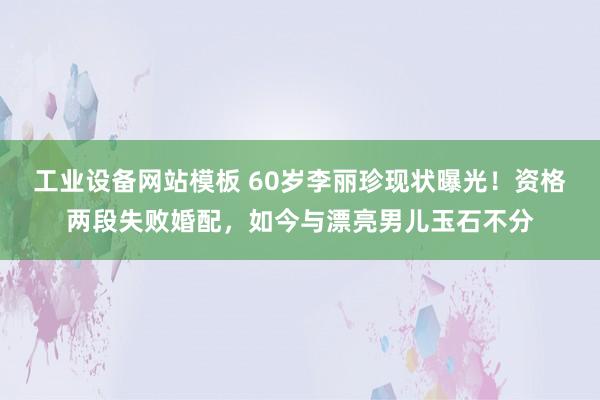 工业设备网站模板 60岁李丽珍现状曝光！资格两段失败婚配，如今与漂亮男儿玉石不分