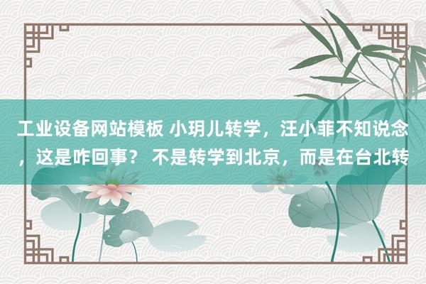工业设备网站模板 小玥儿转学，汪小菲不知说念，这是咋回事？ 不是转学到北京，而是在台北转