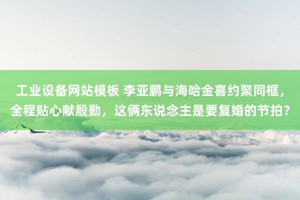 工业设备网站模板 李亚鹏与海哈金喜约聚同框，全程贴心献殷勤，这俩东说念主是要复婚的节拍？