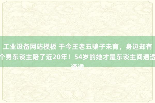 工业设备网站模板 于今王老五骗子未育，身边却有个男东谈主陪了近20年！54岁的她才是东谈主间通透