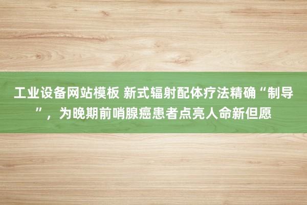 工业设备网站模板 新式辐射配体疗法精确“制导”，为晚期前哨腺癌患者点亮人命新但愿