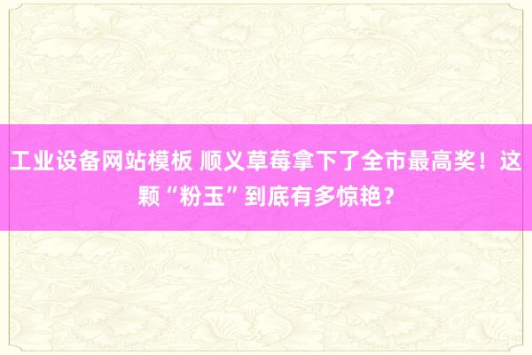 工业设备网站模板 顺义草莓拿下了全市最高奖！这颗“粉玉”到底有多惊艳？