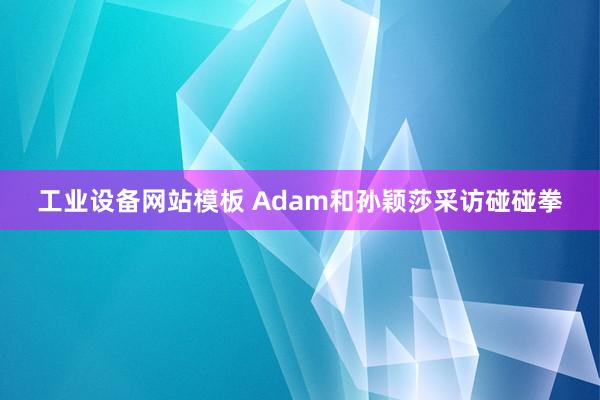 工业设备网站模板 Adam和孙颖莎采访碰碰拳