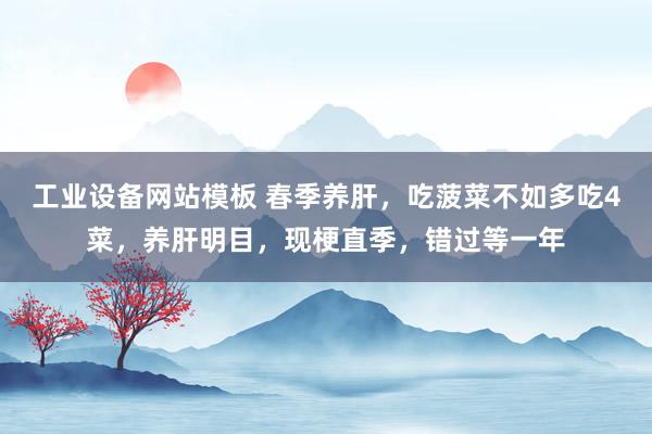 工业设备网站模板 春季养肝，吃菠菜不如多吃4菜，养肝明目，现梗直季，错过等一年