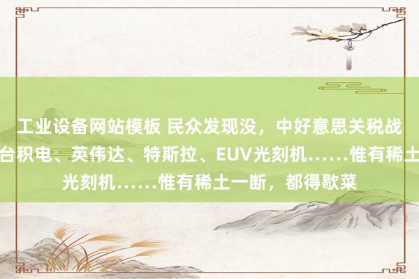 工业设备网站模板 民众发现没，中好意思关税战打到现时，什么台积电、英伟达、特斯拉、EUV光刻机……惟有稀土一断，都得歇菜