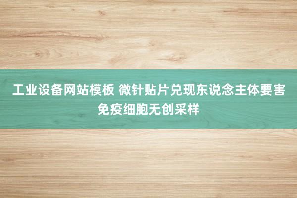 工业设备网站模板 微针贴片兑现东说念主体要害免疫细胞无创采样