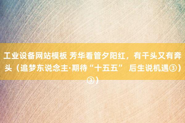 工业设备网站模板 芳华看管夕阳红，有干头又有奔头（追梦东说念主·期待“十五五”  后生说机遇③）