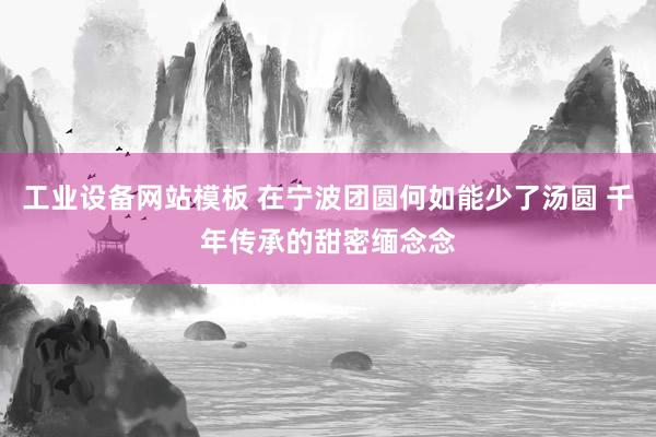 工业设备网站模板 在宁波团圆何如能少了汤圆 千年传承的甜密缅念念
