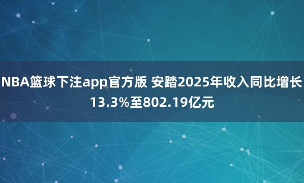 NBA篮球下注app官方版 安踏2025年收入同比增长13.3%至802.19亿元
