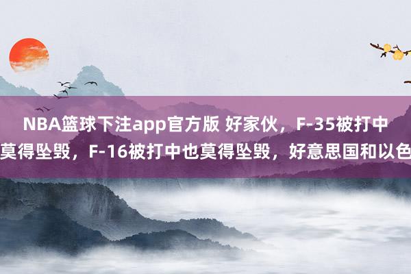 NBA篮球下注app官方版 好家伙，F-35被打中莫得坠毁，F-16被打中也莫得坠毁，好意思国和以色