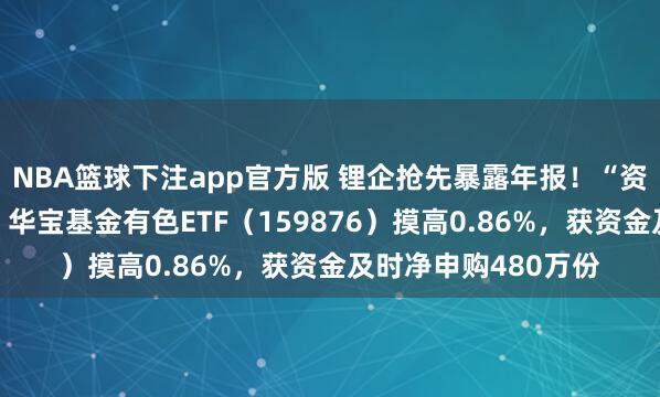NBA篮球下注app官方版 锂企抢先暴露年报！“资源为王”逻辑不变！华宝基金有色ETF（159876）摸高0.86%，获资金及时净申购480万份