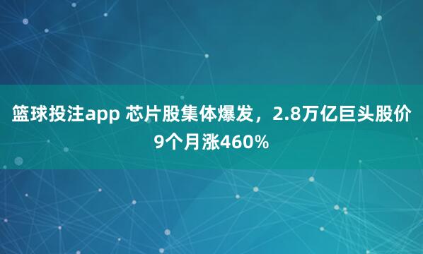 篮球投注app 芯片股集体爆发，2.8万亿巨头股价9个月涨460%