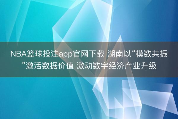 NBA篮球投注app官网下载 湖南以“模数共振”激活数据价值 激动数字经济产业升级