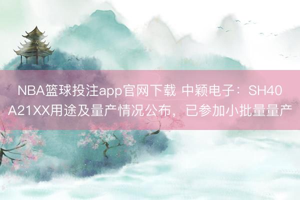 NBA篮球投注app官网下载 中颖电子：SH40A21XX用途及量产情况公布，已参加小批量量产