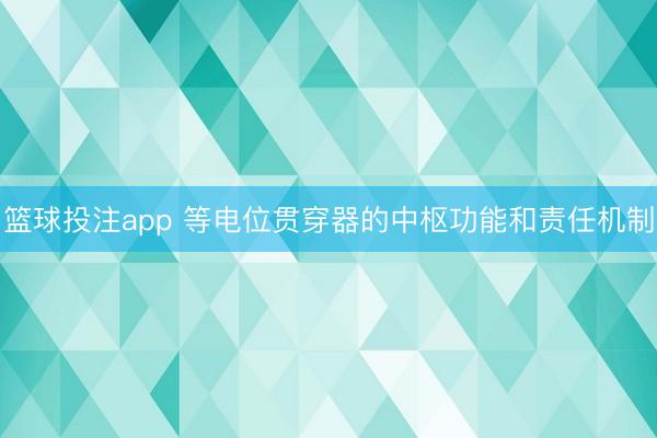 篮球投注app 等电位贯穿器的中枢功能和责任机制