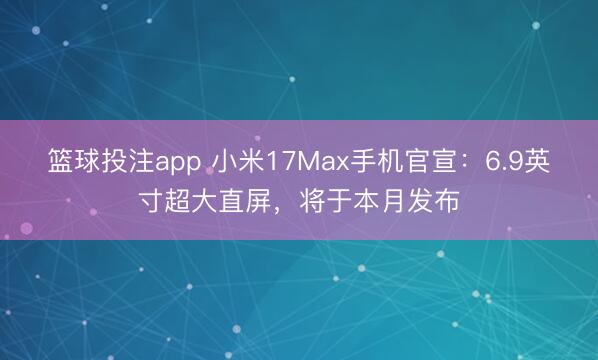 篮球投注app 小米17Max手机官宣：6.9英寸超大直屏，将于本月发布