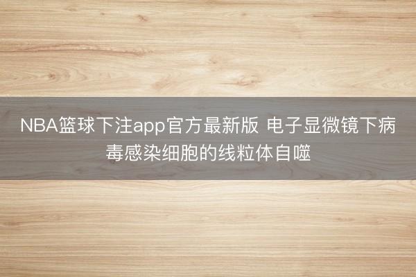 NBA篮球下注app官方最新版 电子显微镜下病毒感染细胞的线粒体自噬