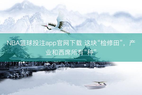 NBA篮球投注app官网下载 这块“检修田”，产业和西席所有“种”