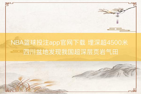 NBA篮球投注app官网下载 埋深超4500米 四川盆地发现我国超深层页岩气田