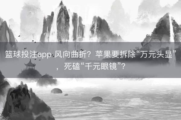 篮球投注app 风向曲折？苹果要拆除“万元头显”，死磕“千元眼镜”？