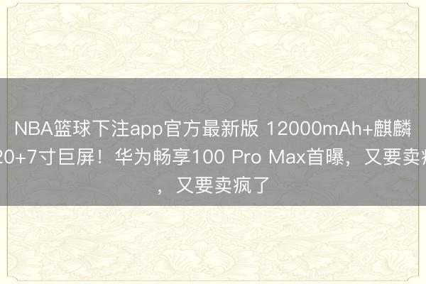 NBA篮球下注app官方最新版 12000mAh+麒麟8020+7寸巨屏！华为畅享100 Pro Max首曝，又要卖疯了