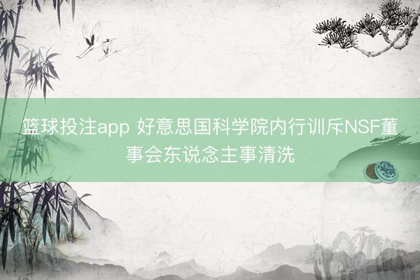 篮球投注app 好意思国科学院内行训斥NSF董事会东说念主事清洗