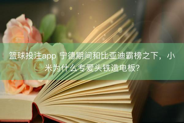 篮球投注app 宁德期间和比亚迪霸榜之下，小米为什么专爱头铁造电板？