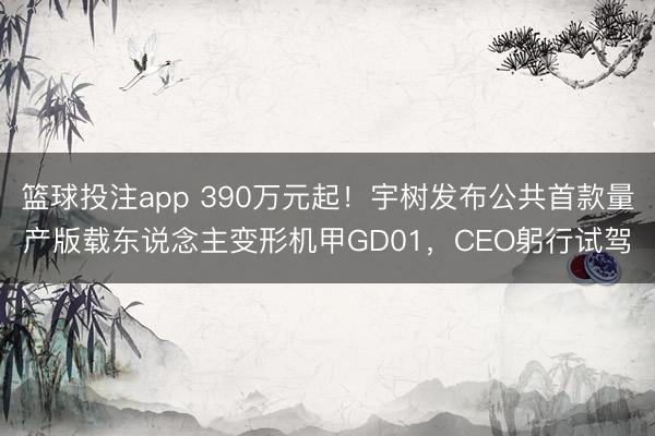 篮球投注app 390万元起！宇树发布公共首款量产版载东说念主变形机甲GD01，CEO躬行试驾