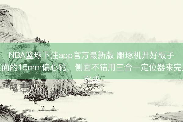 NBA篮球下注app官方最新版 雕琢机开好板子正面的15mm偏心轮，侧面不错用三合一定位器来完成