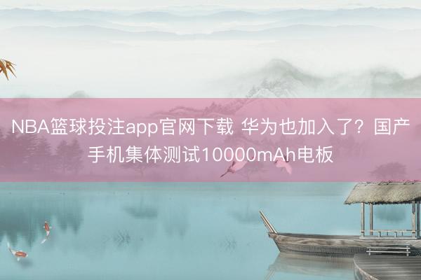NBA篮球投注app官网下载 华为也加入了？国产手机集体测试10000mAh电板