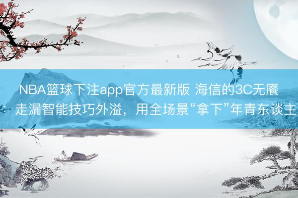 NBA篮球下注app官方最新版 海信的3C无餍：走漏智能技巧外溢，用全场景“拿下”年青东谈主