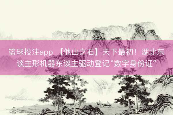 篮球投注app 【他山之石】天下最初！湖北东谈主形机器东谈主驱动登记“数字身份证”