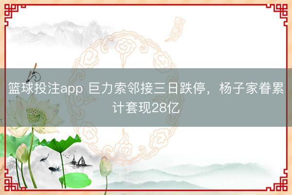 篮球投注app 巨力索邻接三日跌停，杨子家眷累计套现28亿