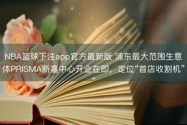 NBA篮球下注app官方最新版 浦东最大范围生意体PRISMA新嘉中心开业在即，定位“首店收割机”
