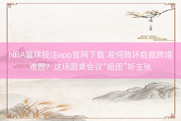 NBA篮球投注app官网下载 若何败坏数据跨境难题?这场圆桌会议“组团”听主张