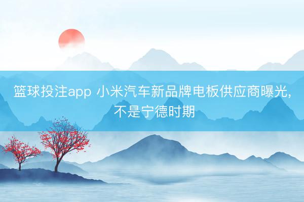 篮球投注app 小米汽车新品牌电板供应商曝光， 不是宁德时期