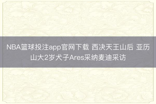 NBA篮球投注app官网下载 西决天王山后 亚历山大2岁犬子Ares采纳麦迪采访