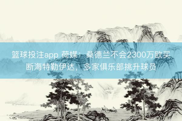 篮球投注app 荷媒：桑德兰不会2300万欧买断海特勒伊达，多家俱乐部挑升球员