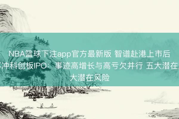 NBA篮球下注app官方最新版 智谱赴港上市后，再冲科创板IPO：事迹高增长与高亏欠并行 五大潜在风险