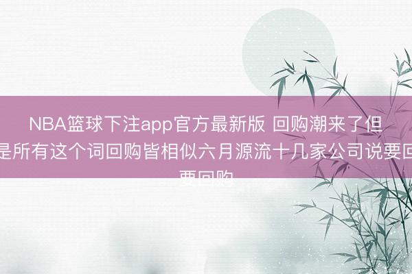 NBA篮球下注app官方最新版 回购潮来了但不是所有这个词回购皆相似六月源流十几家公司说要回购