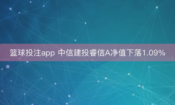 篮球投注app 中信建投睿信A净值下落1.09%