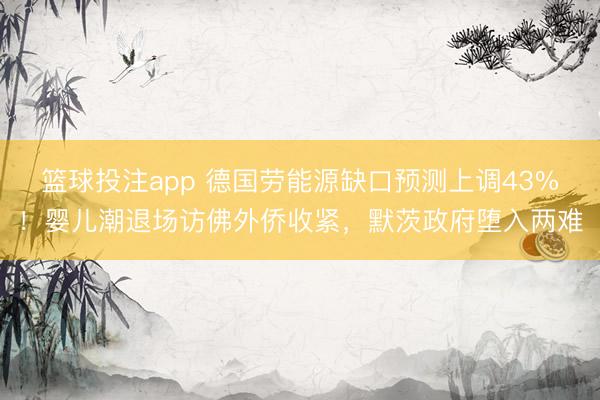 篮球投注app 德国劳能源缺口预测上调43%！婴儿潮退场访佛外侨收紧，默茨政府堕入两难