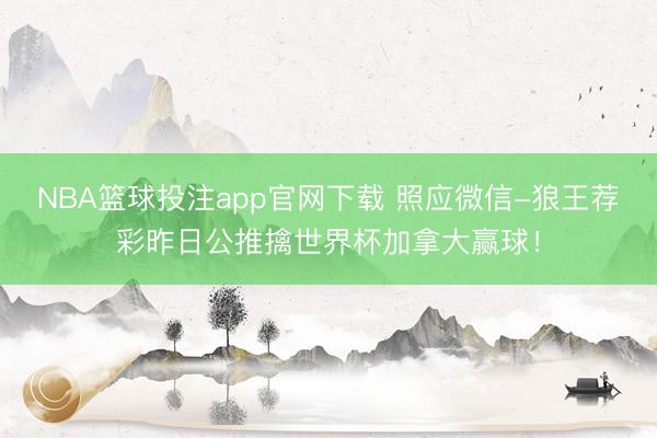 NBA篮球投注app官网下载 照应微信-狼王荐彩昨日公推擒世界杯加拿大赢球！
